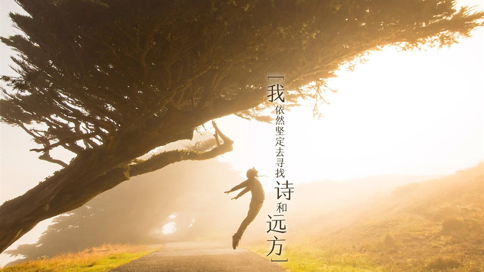 公牛打造“战术博物馆”,收藏数十年经典战术录像,战斗公牛