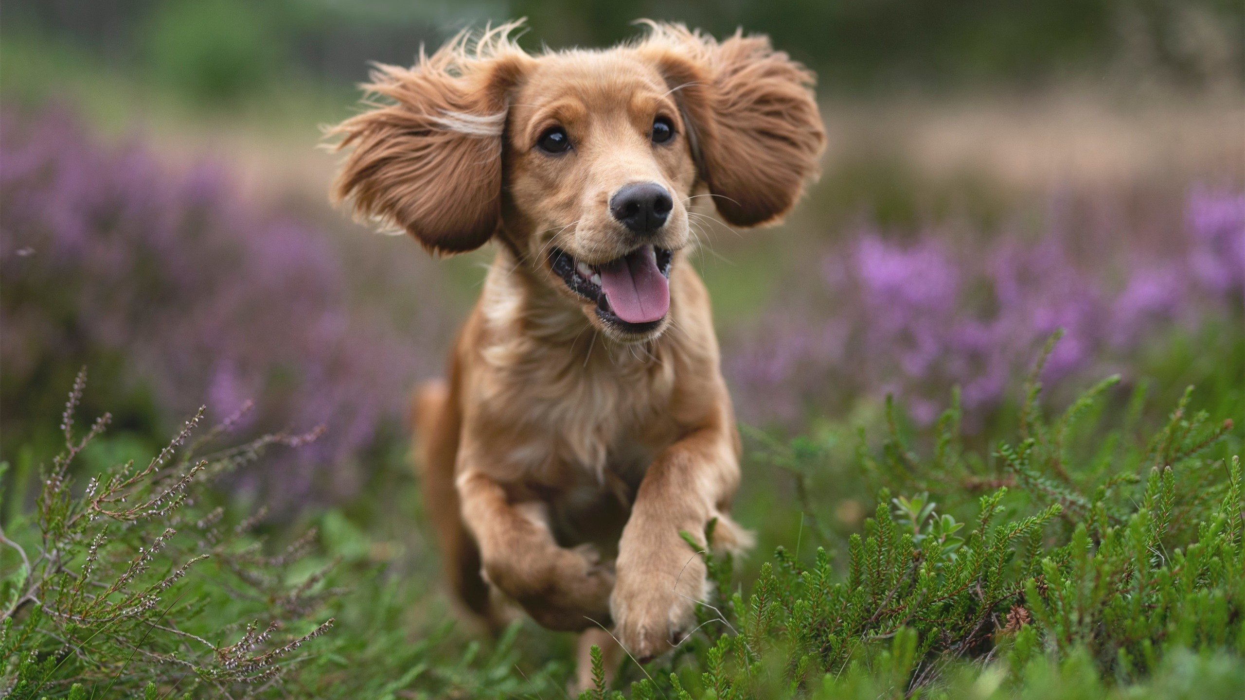 全国青少年“篮球先锋”系列公益活动在西安持续进行,惠及边远地区