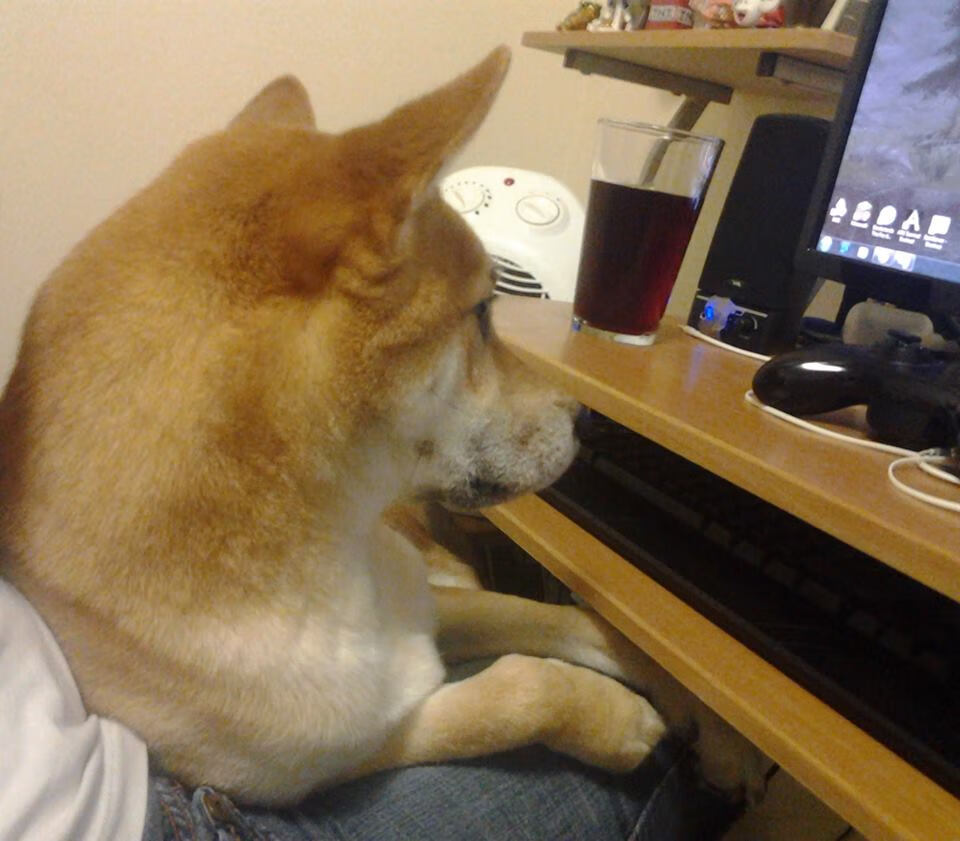 大数据赋能青少年篮球个性化训练,助力技术突破,青少年篮球训练现状分析