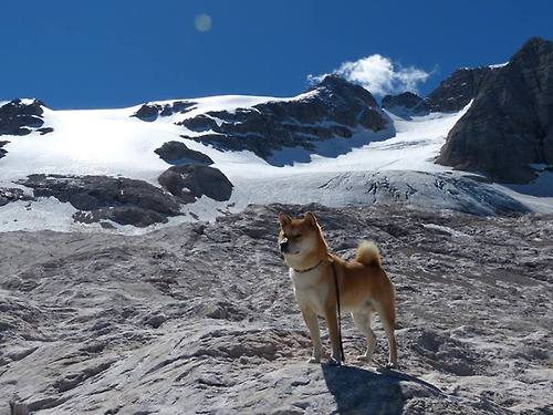 开云·Kaiyun网页版-意大利女子公路赛选手获得铜牌，意大利女子竞走冠军