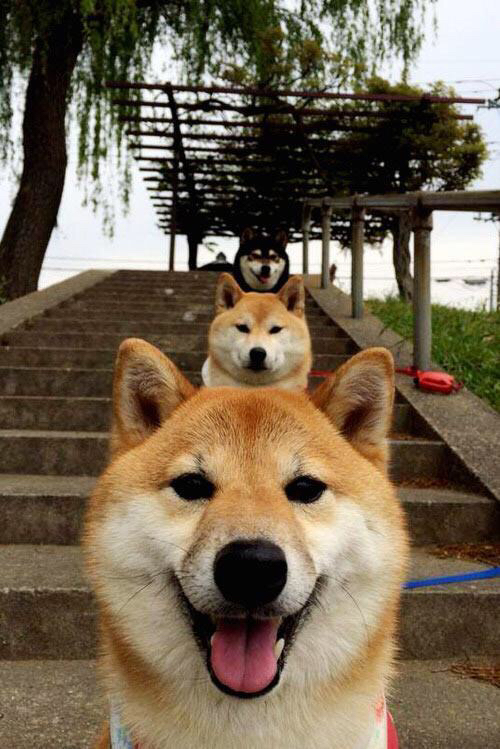 摩洛哥队在巴黎奥运会男足比赛中以2-1惜败西班牙,摩洛哥足球球员