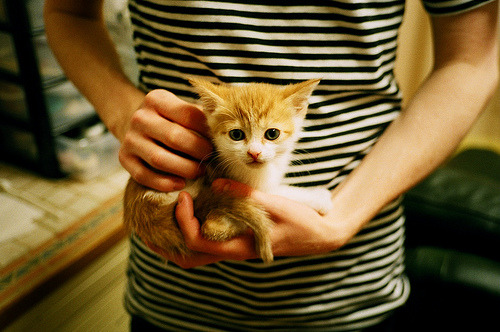 开云官方网站-极限攀岩夜光赛，点亮黑暗中的勇气之路，极限攀岩励志图片