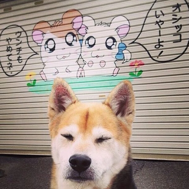 青年篮球教练员培训班全国启动,青少年篮球教练员培训