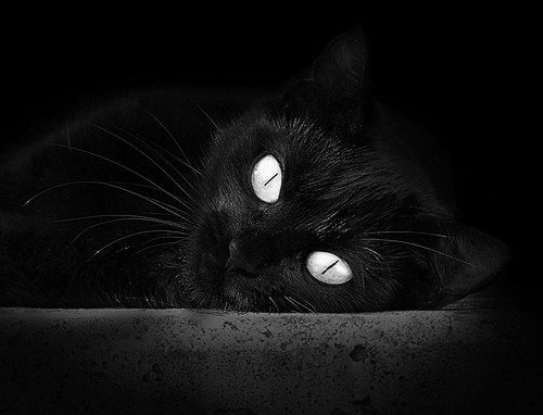 青训体系创新引领行业发展,培养高水平运动员,青训水平什么意思