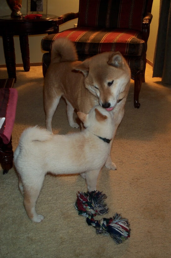 马拉松假成绩丑闻曝光,多人被终身禁赛,马拉松作弊事件