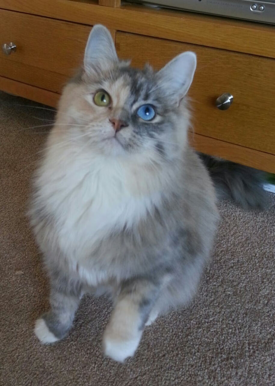 G联赛二线球队比赛激烈,g联赛是啥