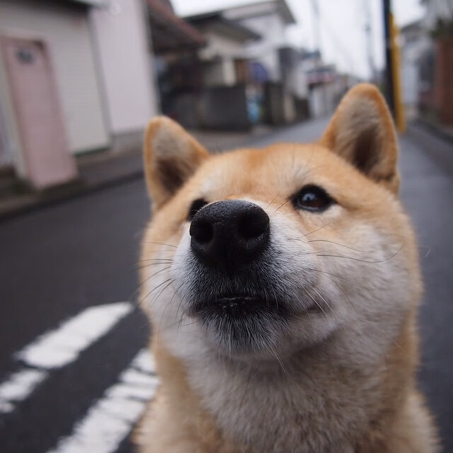 KAIYUNAPP-EDG启动新赛季科学训练计划，edg战队青训报名